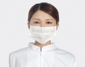 2-Ply Dust Mask